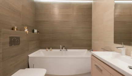 Home Bathroom Remodeling